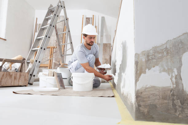 Best Industrial Mold Remediation  in Winnebago, IL