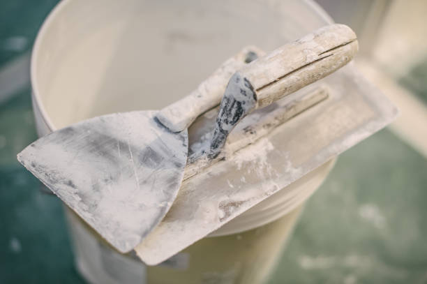Mold Odor Removal Services in Winnebago, IL